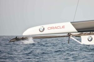 oracle racing sailboat